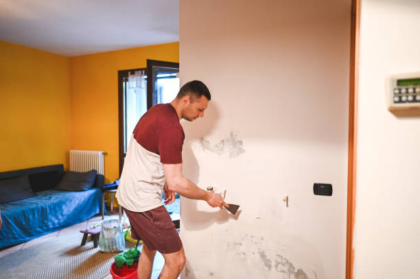 Best Industrial Mold Remediation in Waterford, WI